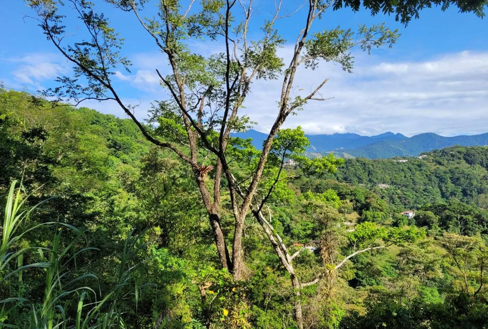 Glamping Sol & Luna Vr Villavicencio Colombia